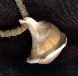 Katie Singer's Jewelry - New Guinea heishi and shell necklace